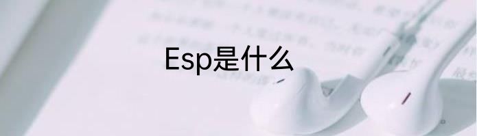 Esp是什么