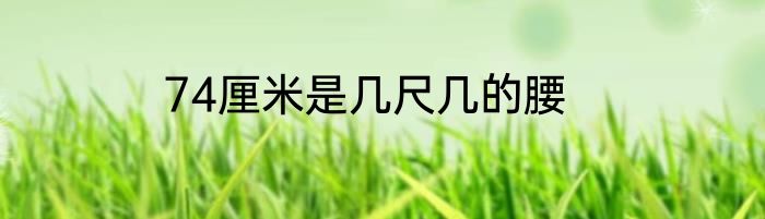 74厘米是几尺几的腰