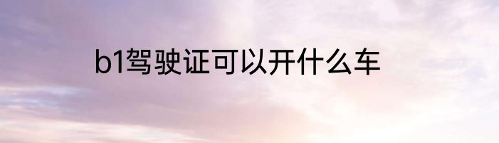 b1驾驶证可以开什么车
