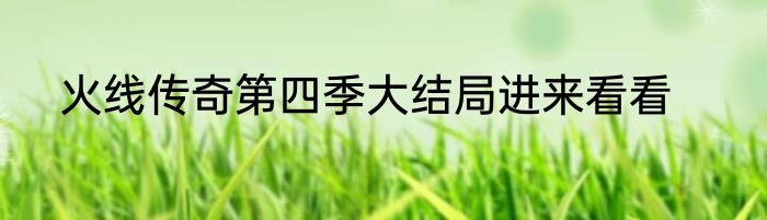 火线传奇第四季大结局进来看看