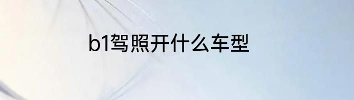 b1驾照开什么车型