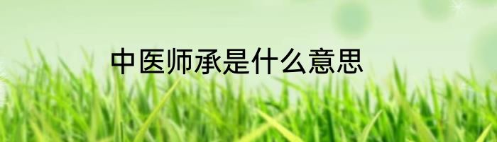 中医师承是什么意思