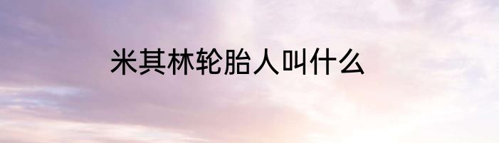 米其林轮胎人叫什么
