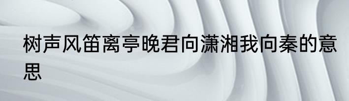 树声风笛离亭晚君向潇湘我向秦的意思