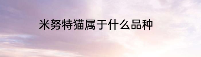 米努特猫属于什么品种