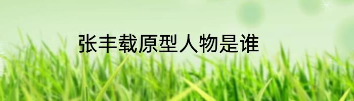 张丰载原型人物是谁