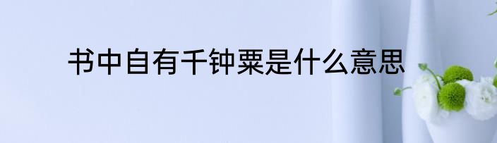 书中自有千钟粟是什么意思