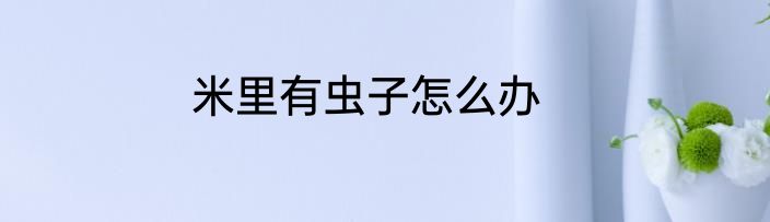 米里有虫子怎么办