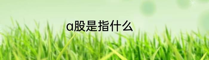 a股是指什么