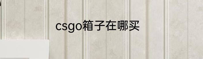 csgo箱子在哪买