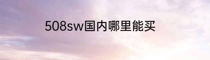 508sw国内哪里能买
