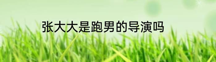 张大大是跑男的导演吗