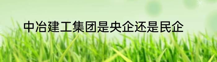 中冶建工集团是央企还是民企