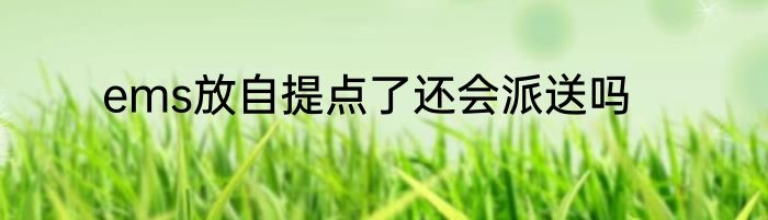 ems放自提点了还会派送吗