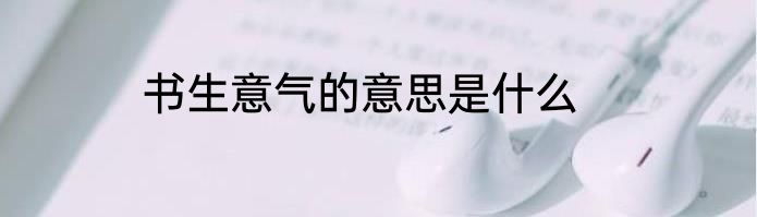 书生意气的意思是什么