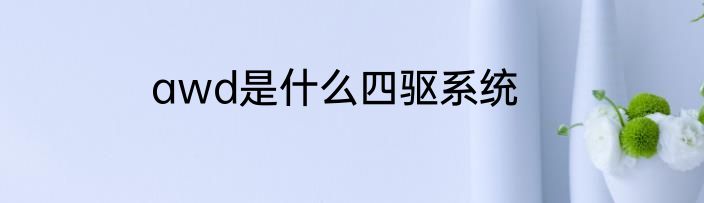 awd是什么四驱系统