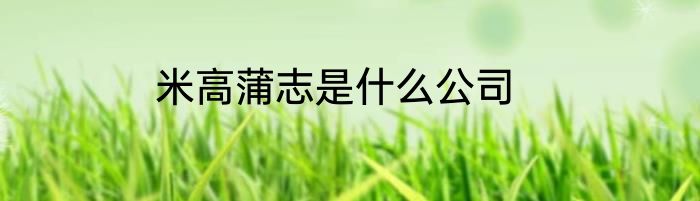 米高蒲志是什么公司