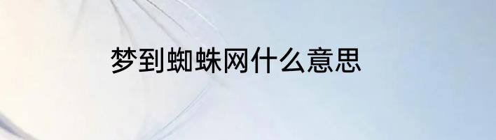 梦到蜘蛛网什么意思