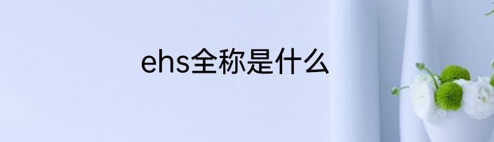 ehs全称是什么
