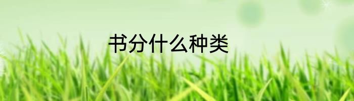 书分什么种类