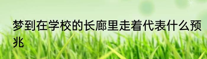 梦到在学校的长廊里走着代表什么预兆