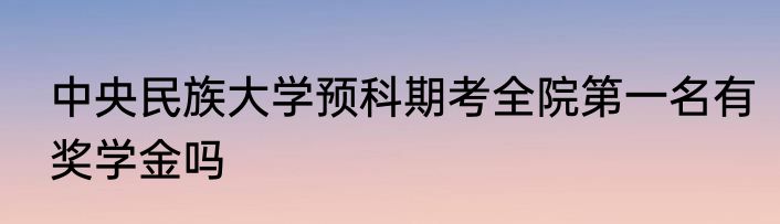 中央民族大学预科期考全院第一名有奖学金吗