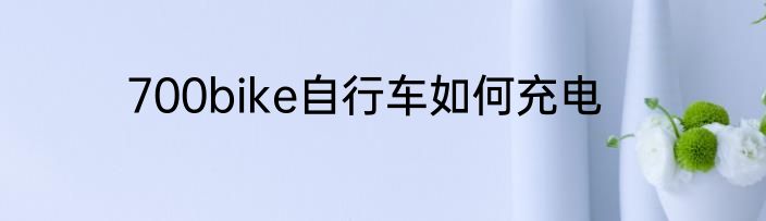 700bike自行车如何充电