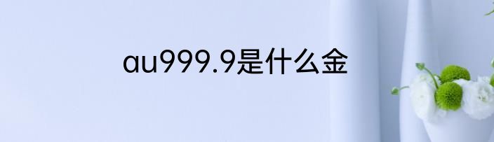 au999.9是什么金
