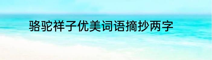 骆驼祥子优美词语摘抄两字