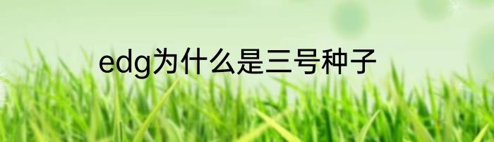 edg为什么是三号种子