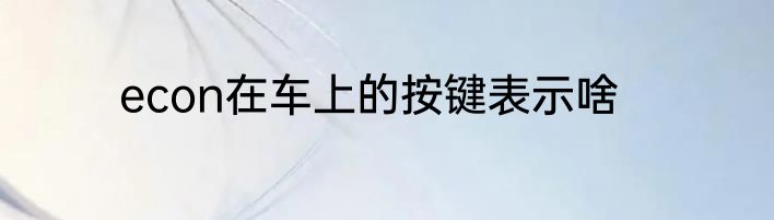 econ在车上的按键表示啥