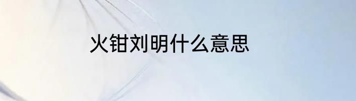 火钳刘明什么意思