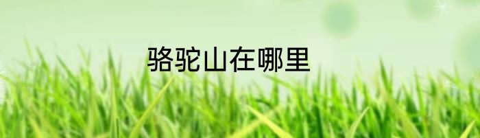 骆驼山在哪里