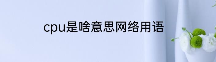 cpu是啥意思网络用语