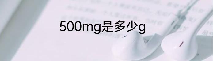 500mg是多少g