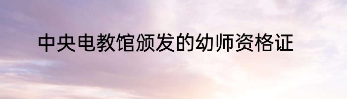 中央电教馆颁发的幼师资格证