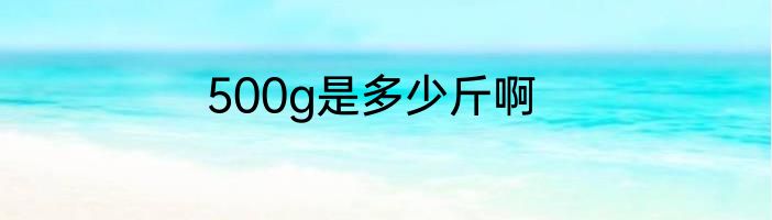 500g是多少斤啊