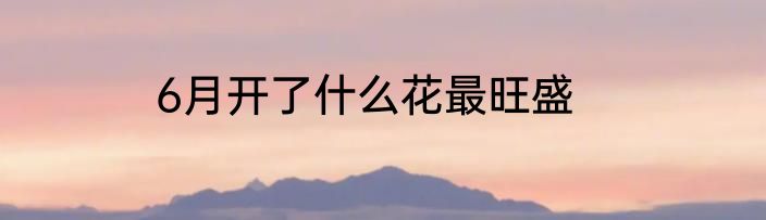 6月开了什么花最旺盛