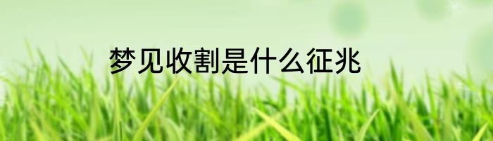 梦见收割是什么征兆
