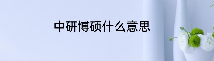中研博硕什么意思