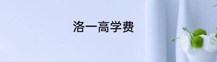 洛一高学费