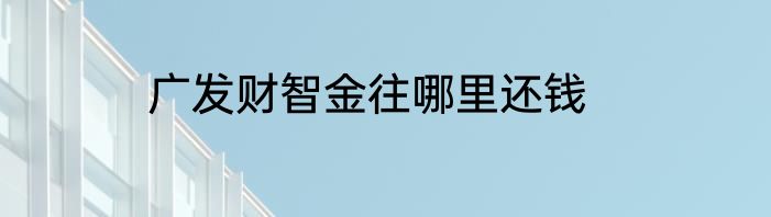广发财智金往哪里还钱