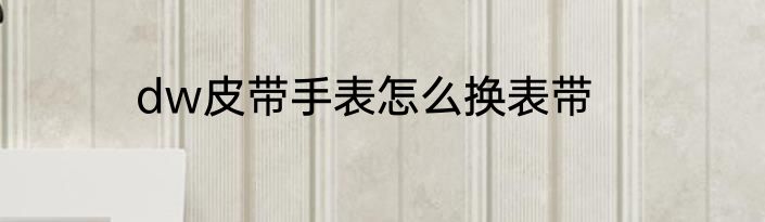dw皮带手表怎么换表带