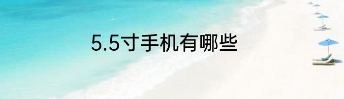 5.5寸手机有哪些