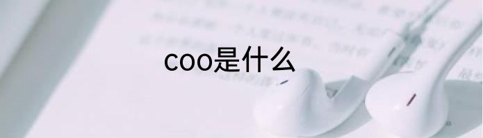 coo是什么