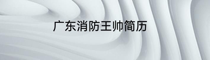 广东消防王帅简历