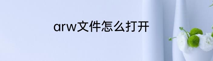 arw文件怎么打开