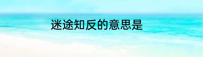 迷途知反的意思是