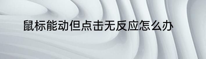 鼠标能动但点击无反应怎么办