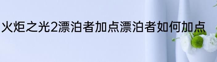 火炬之光2漂泊者加点漂泊者如何加点